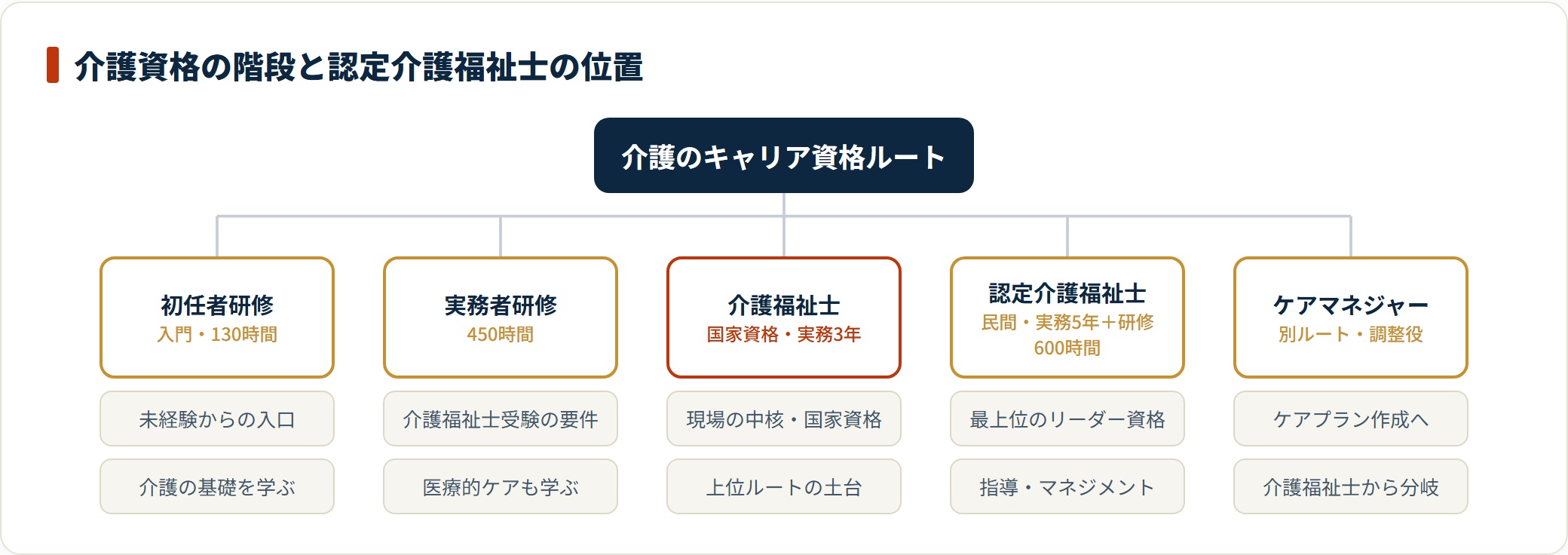 認定介護福祉士は初任者研修→実務者研修→介護福祉士と積み上げた先の最上位で、ケアマネジャーは別ルートに分岐する。